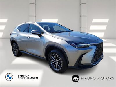 2022 Lexus NX