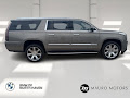2019 Cadillac Escalade ESV Luxury