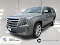 2019 Cadillac Escalade ESV Luxury