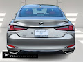 2020 Lexus ES 350 F Sport