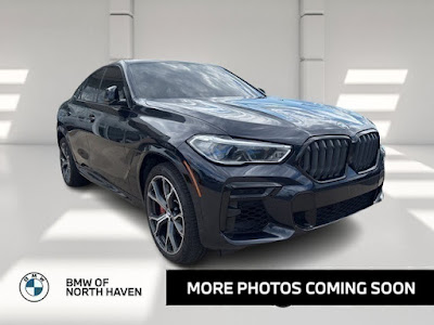 2023 BMW X6