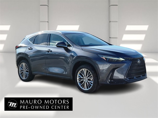 2025 Lexus NX 350 Luxury