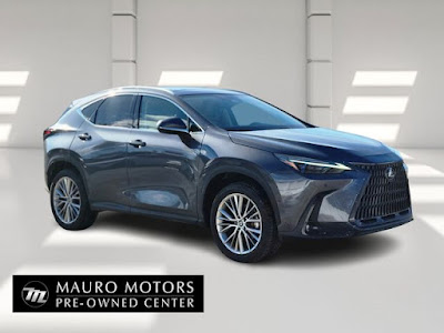2025 Lexus NX