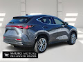 2025 Lexus NX 350 Luxury