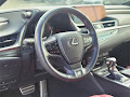 2019 Lexus ES 350 F Sport