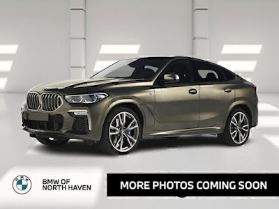 2023 BMW X6